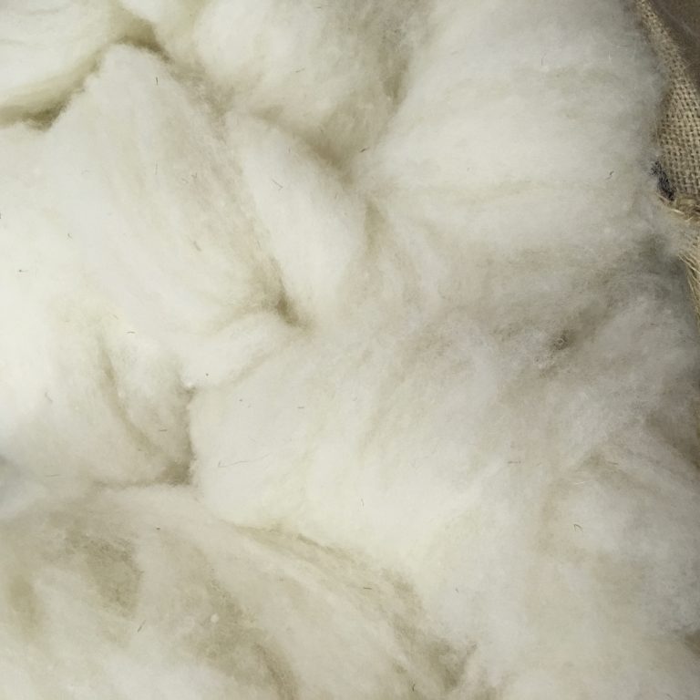 Carded Wool – Wool Knitting Yarn from Briggs & Little Mill Ltd.