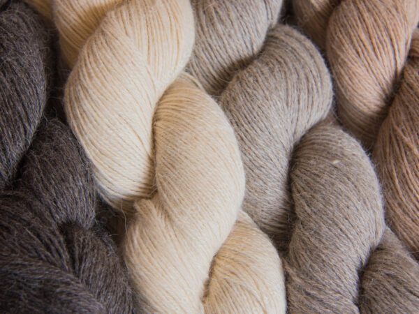 Wool Yarns