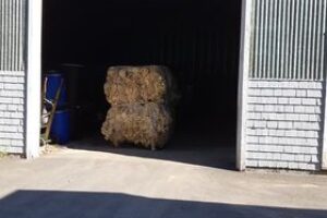 201672363_327563008860213_5579921855483729629_n