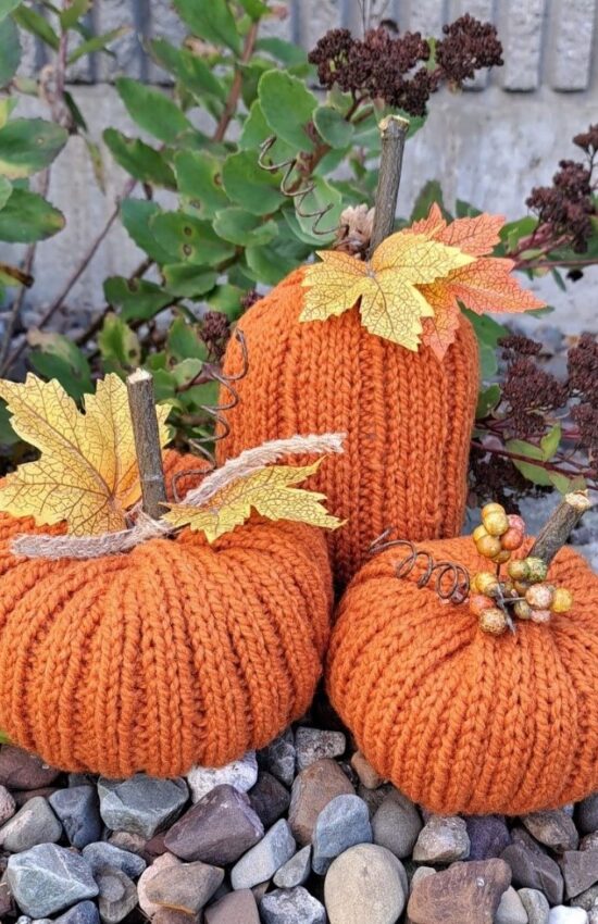 pumpkins-1